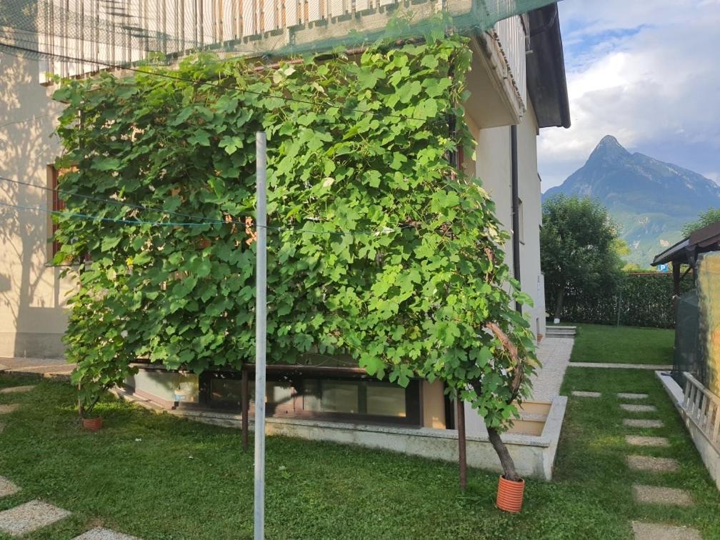 Apartma Buon 보베츠 외부 사진